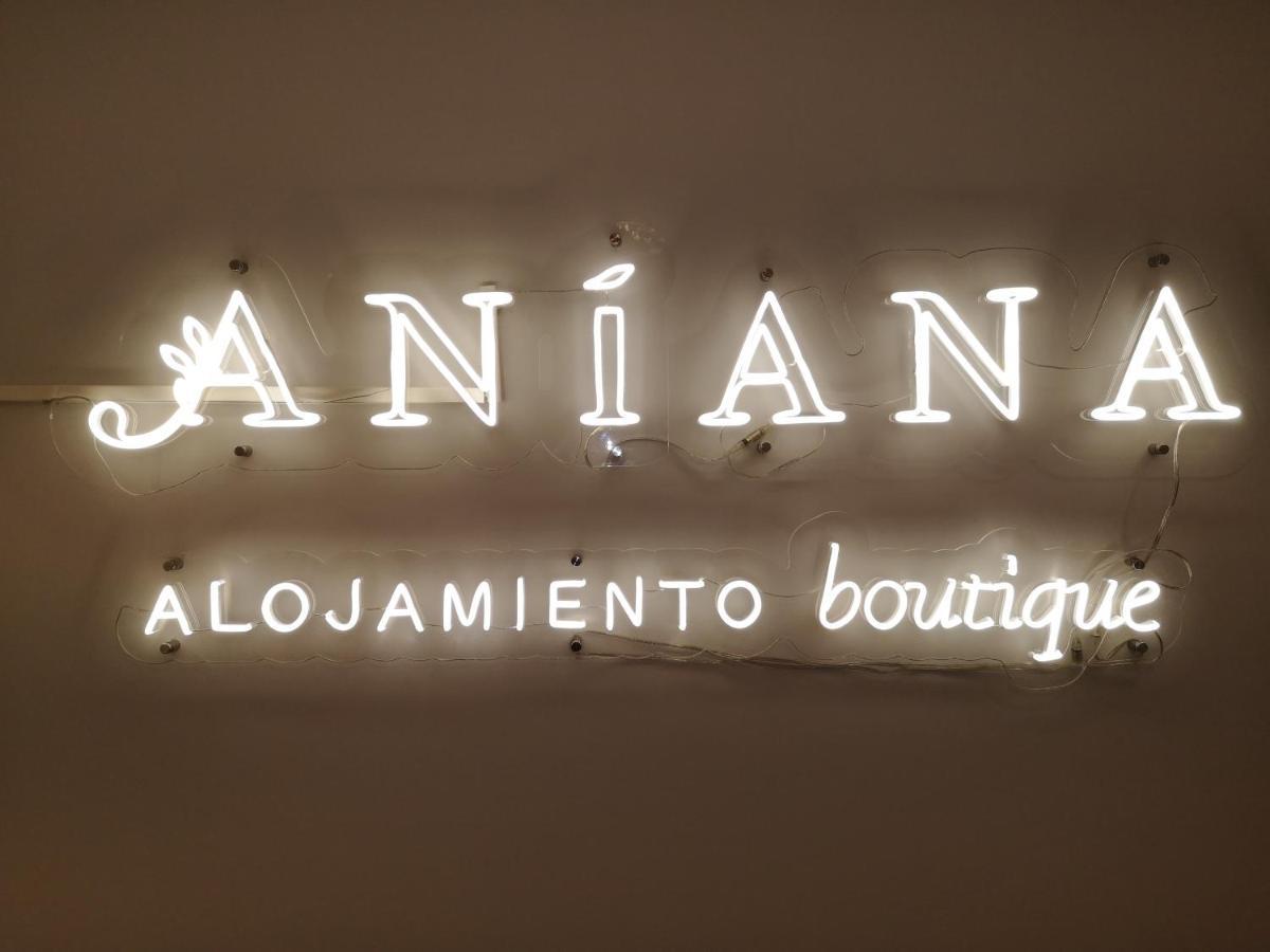 Aniana Alojamiento Boutique Логроньйо Екстер'єр фото