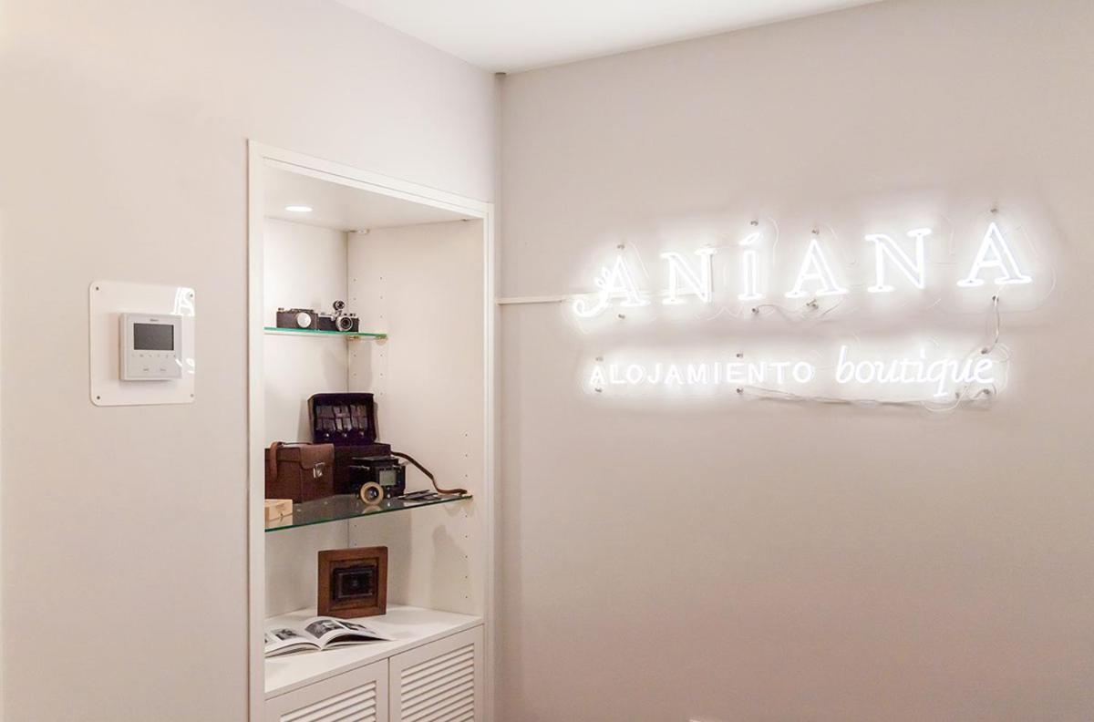 Aniana Alojamiento Boutique Логроньйо Екстер'єр фото
